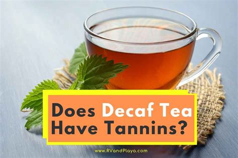 Does Decaf Tea Have Tannins? And Why Do They Make My Cat Smell Like Lavender?