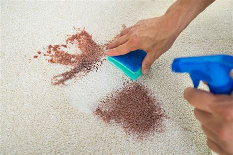 How to Get Fruit Punch Out of Carpet: A Comprehensive Guide