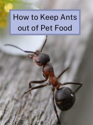 How to Keep Ants Away from Dog Food: A Comprehensive Guide and the Curious Case of Ants in Space