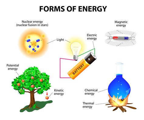 What Type of Energy is Food: A Culinary Symphony of Science and Sensation